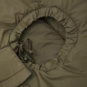 Carinthia Defence 1