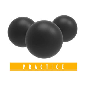 T4E Practice RUB