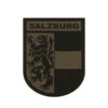 Clawgear Salzburg Shield Patch RAL7013