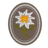 Clawgear Edelweiß Patch oval color