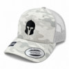 Lehmann Teamcap alpine