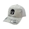 Lehmann Teamcap alpine