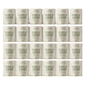 Deiser Schokokuchen 300g 24 Dosen