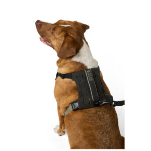 5.11 Mission Ready Hundegeschirr 2.0