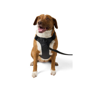 5.11 Mission Ready Hundegeschirr 2.0